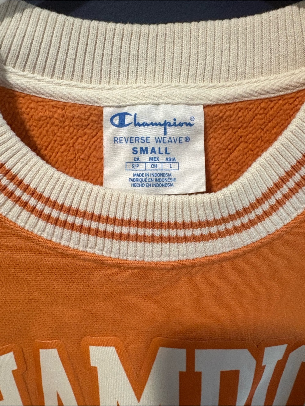 Champion Orange Crewneck Sweatshirt with 'Phys. Ed.' Graphic - Picture 2 of 3